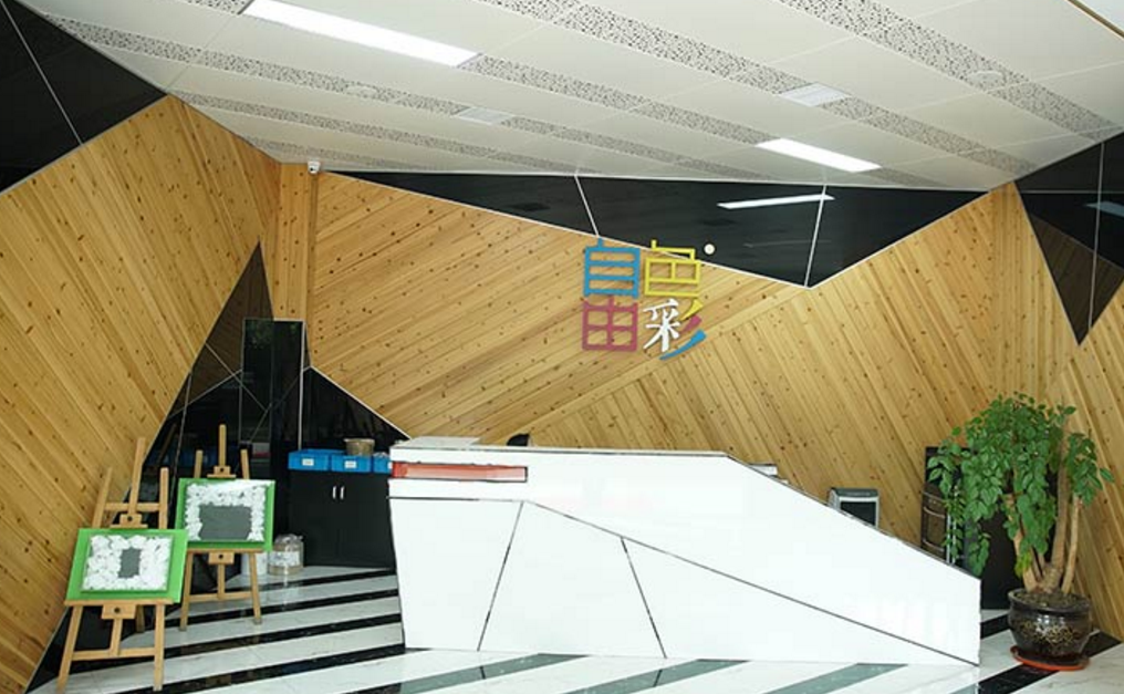 CG电子公司简介